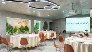 Sea Galaxy Hotel Congress & SPA Конференц-зал "Комфорт" 0