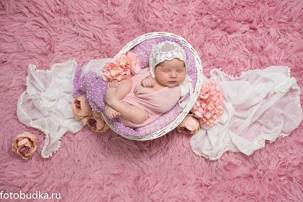 Фотограф новорожденных Новорожденные 26
