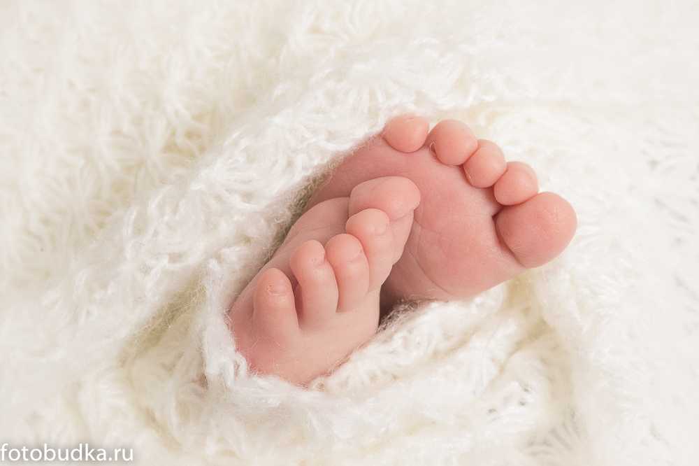 Фотограф новорожденных Новорожденные 27